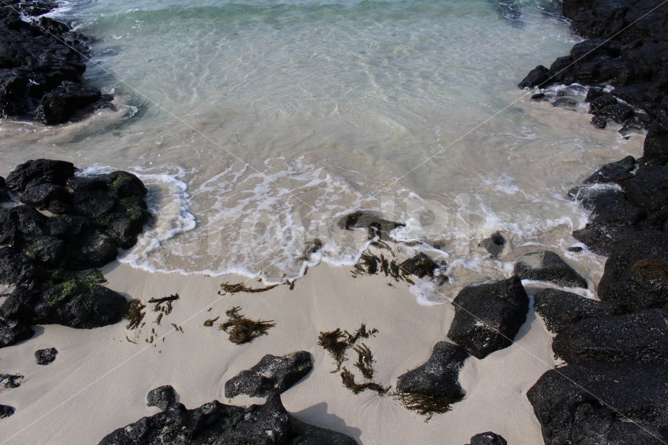 바다,해변,바닷가,제주도,여행,색감,자연,풍경,nature,landscape,해변,바다,beach,sea,water,물