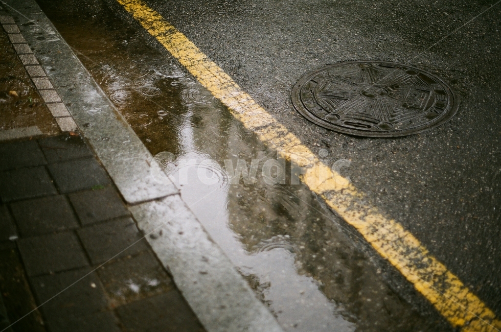 장마,비,거리,반사,노랑,도로,rain,street,yellow,darkness,감성,sensible,feeling,비,비오는날,rain,rainy