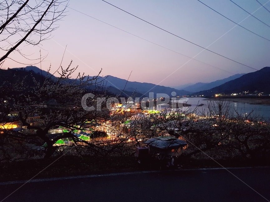 야경,시골야경,night,꽃,석양