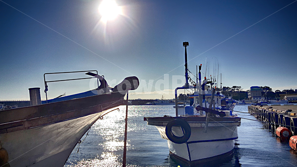 어선,선박,항구,위미항,배,보트,port,교통,어업,fishery,fishing industry
