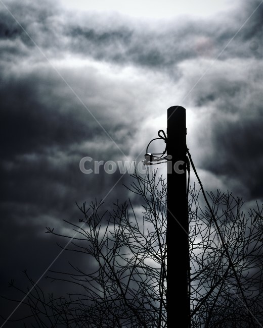 nature,자연,날씨,weather,전봇대,흑백사진,흑백,모노톤,monochrome,black and white