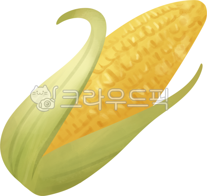 Sweet corn,corn,corn drawing,corn illustration,corn image,super sweet corn,corn illustrator,corn artwork,corn elements,corn farming,corn design,yellow corn,corn drawing,vegetables,food ingredients,food ingredients,cooking ingredients,agri