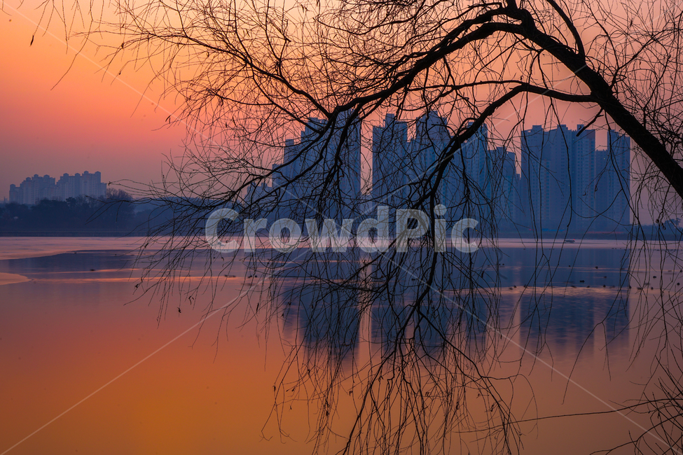 애돋이,일출,여명,호수,얼음판,얼음,건물,풍경,감성,도시,풍경,city,landscape,한국도시풍경,한국도시경관,korea cityscape,nature,자연,sunset,일몰,dawn,새벽,red sky,붉은 하늘,dusk,황혼,outdoors,옥외,sky,하늘,silhouette,실루엣