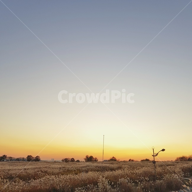 상암하늘공원,하늘공원,노을,억새,silvergrass,가을하늘,sunset,eveningglow