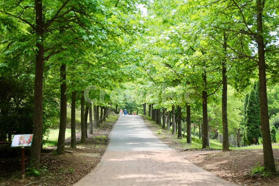 수목원,식물원,산책,숲,숲길,산책길