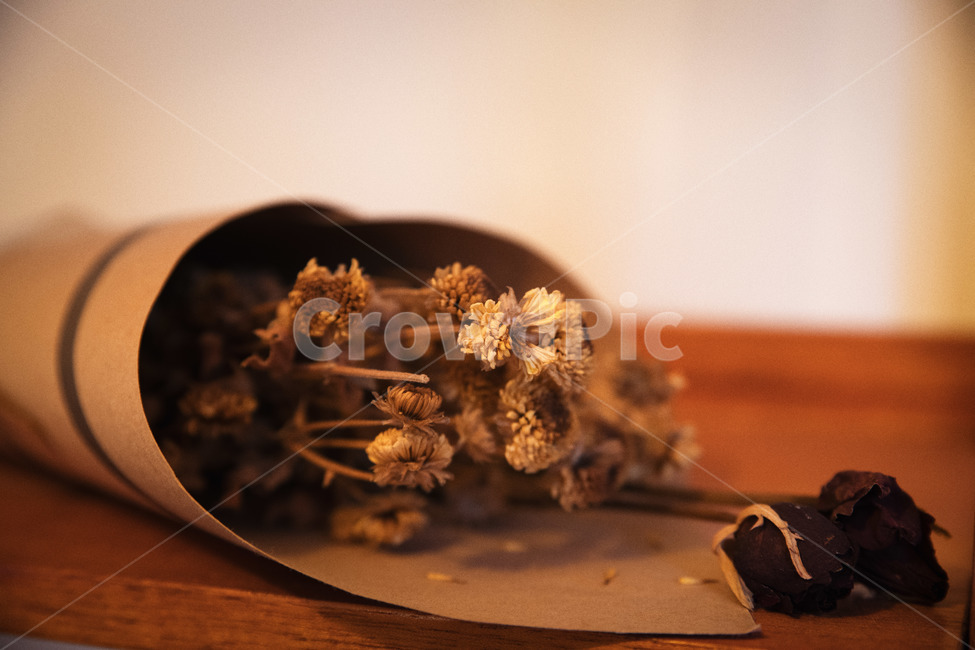 꽃,flower,드라이플라워,장미,국화,감성,느낌,감정,배경화면,바탕화면,고해상도,고해상도배경화면,고해상도사진,꽃,flower,기념일,축하,anniversary,congratulation,celebrate,celebration,감성,sensible,feeling