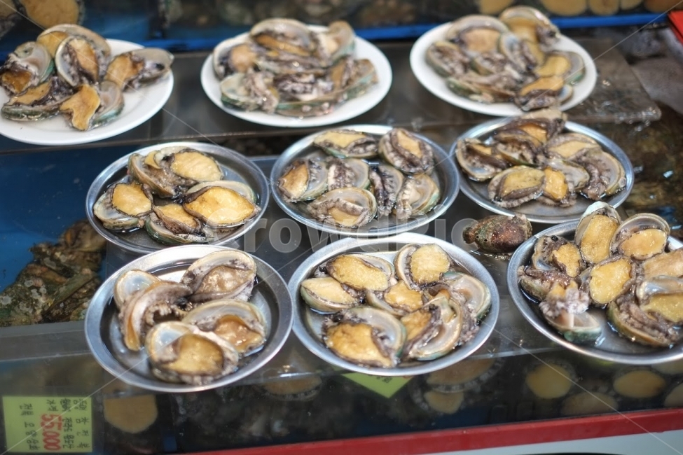 시장,재래시장,해산물,전복,식품,일상,시장,마트,마켓,market,mart,market place,음식,식재료,요리,food,cook,meal,dishes,food reserves,수산물,해산물,fishery products,seafood