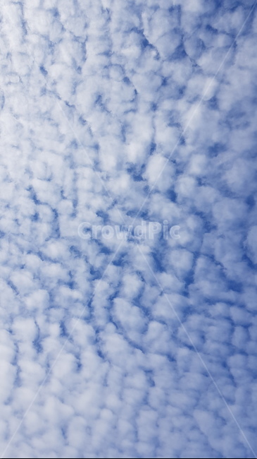 구름,하늘,파란하늘,뭉게구름,하얀구름,cloud,bluesky,nature,자연,outdoors,옥외,cumulus,적운,weather,azuresky,날씨,푸른하늘