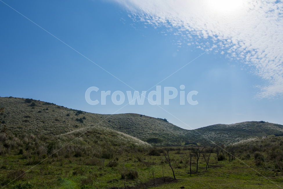 제주,제주도,하늘,구름,관광,자연,풍경,겨울,자연,풍경,nature,landscape,한국자연풍경,한국자연경관,korea nature landscape,제주도,jeju,jeju island,outdoors,옥외