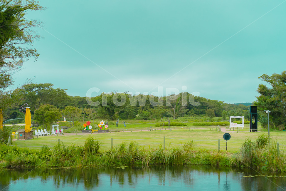 에코랜드,감성사진,색감,호수,제주도,하늘,tree,forest,sky,green,river