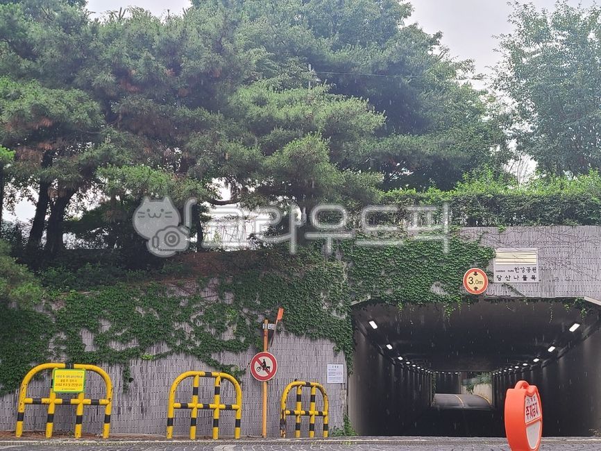 Hangang Park,underpass,ivy,Han River Interchange,tunnel