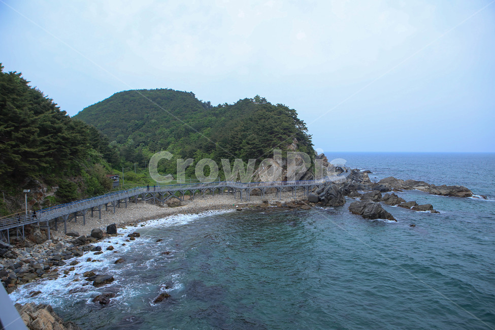 정동진,심곡,바다부채길,dungdongjin,바다,길,바위,해변,자연,푸른색