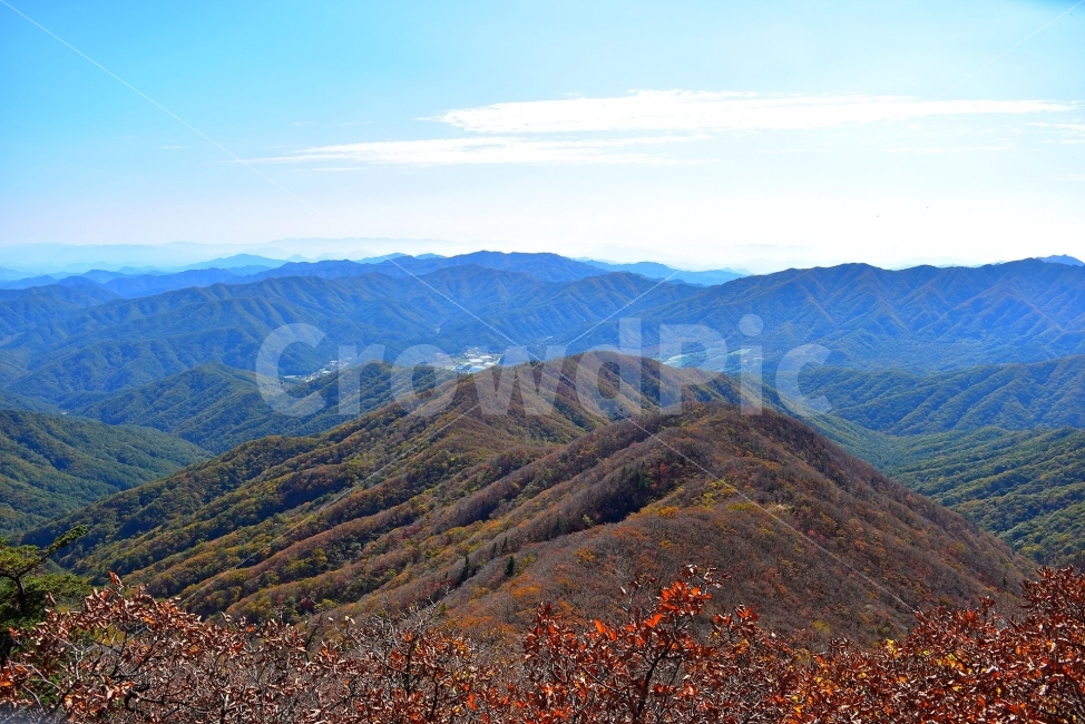 치악산,가을,풍경,단풍,탐방,파란하늘,가을색,오색,울긋불긋,알록달록,그림같은,칼라풀,뷰티플,아름다운,힐링,감성,자연,정취,산세,명산,천사봉,부곡탐방지원센터,큰무레골,비로봉,국립공원,100대명산,nature,산,등산,트레킹,풍경사진,가을사진,가을색채,가을의정취,맑음,청명,가을날씨,산그리메,가을,계절,fall,autumn,season,자연,풍경,nature,landscape,한국자연풍경,한국자연경관,korea nature landscape,outdoors,옥외,hill,언덕