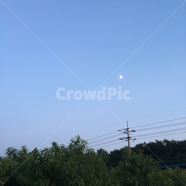 자연,하늘,달,저녁,가로등,초저녁,달빛,풀경