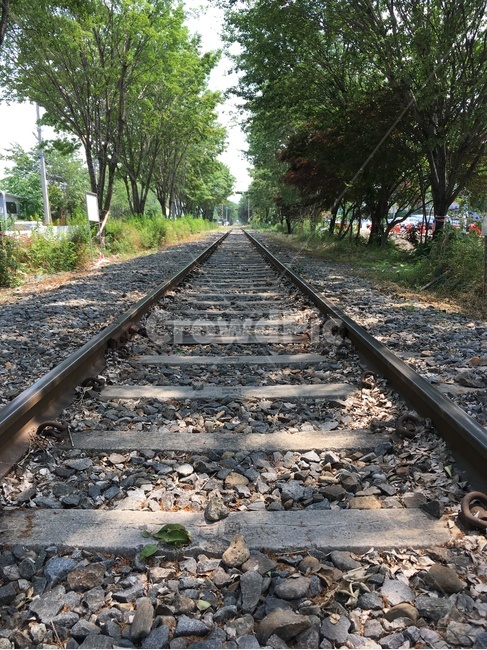 철도,철길,기차,기찻길,railway,railroad,train