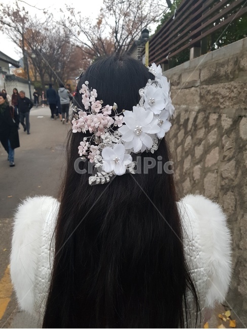 여자,여자뒷모습,한복,여자한복,경복궁,한옥마을,고궁,헤어스타일,사람,인물,인간,human,person,여성,여자,woman,female,lady