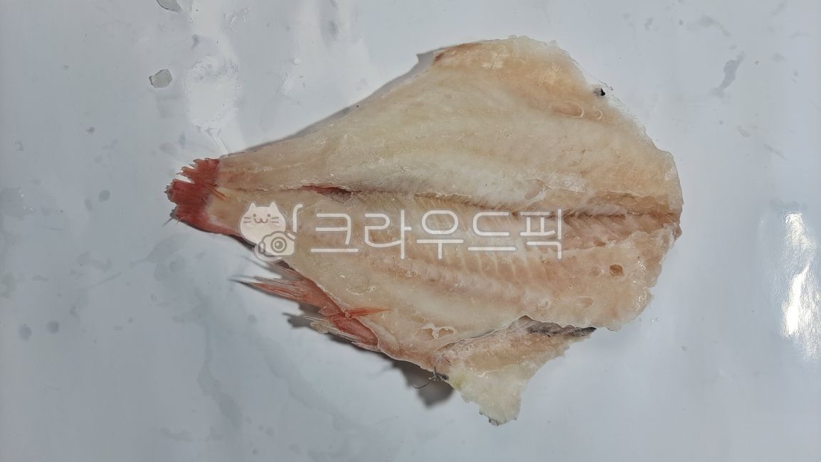 적어, 볼락, 장문볼락, 수산물, 생선, 사진,이미지,일러스트,캘리그라피 - 설라기작가