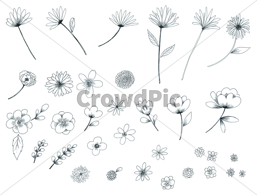 손그림,handdrawing,팬그림,팬라인,pen,penline,penpicture,pendrawing,꽃,flower,bloom,blossom,나뭇잎,leaf,foliage,umbrage,나뭇가지,bough,twig,sprig,branch,봄,spring,springtime