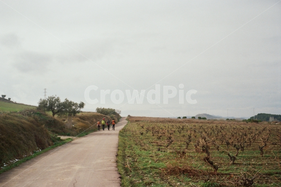 human,인간,person,사람,nature,자연,outdoors,옥외,road,도로,자연,풍경,nature,landscape