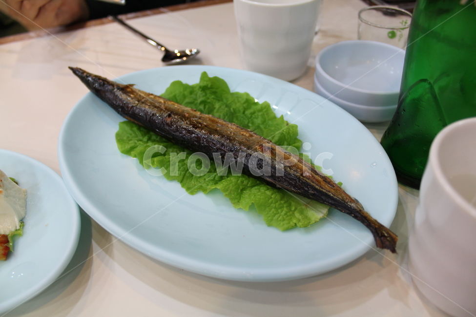생선구이,횟집,fish,물고기,식당,요리