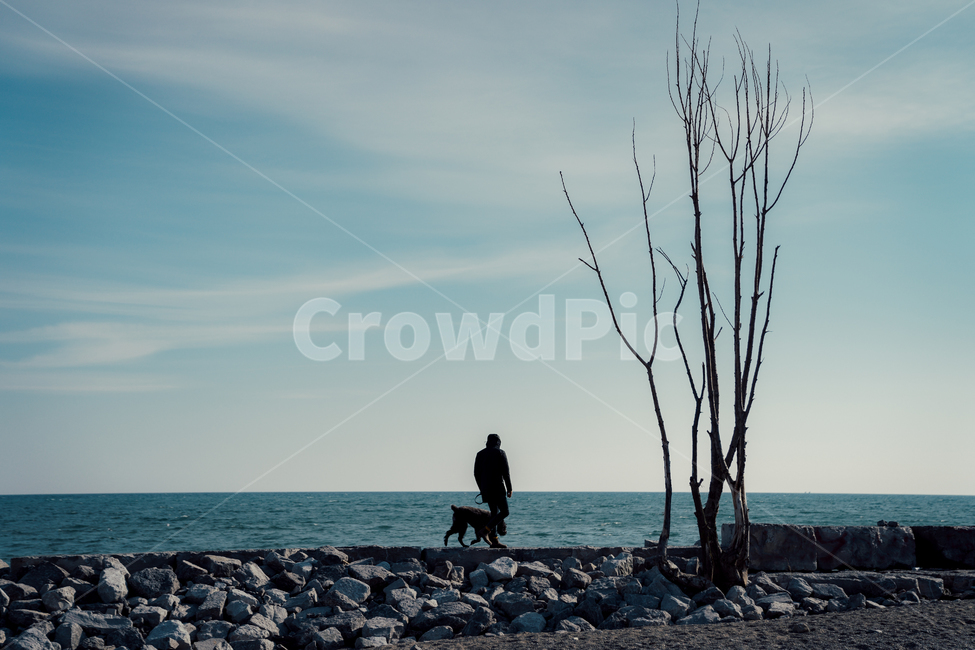 alone,animal,background,dog,friend,best,inspiration,inspiring,lake,longliness,lonely,nature,outdoor,pet,relaxation,together,urban,vintage,산책,자연,펫,강아지,외로움,landscape,friendship,person,사람,human,인간