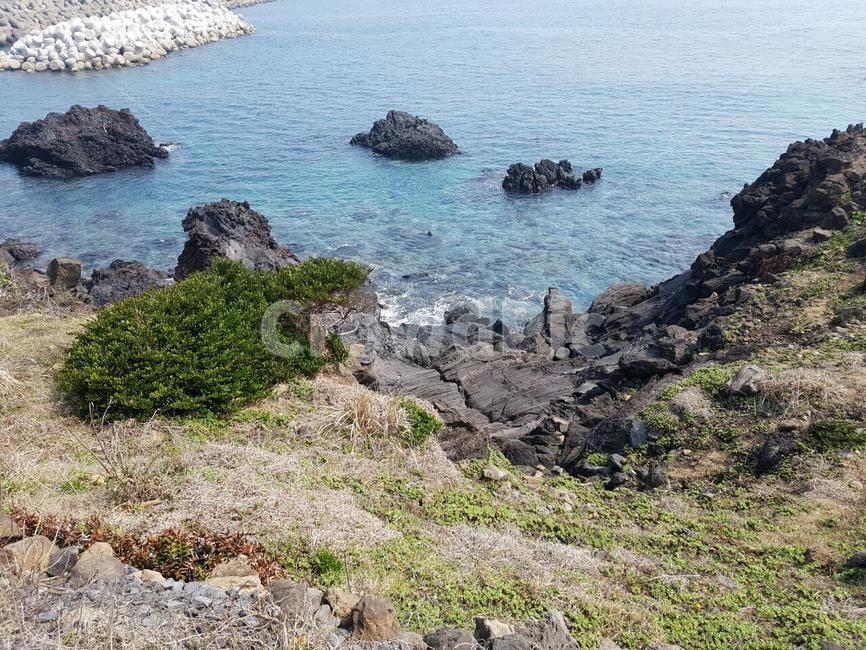 promontory,곶,nature,자연,제주도