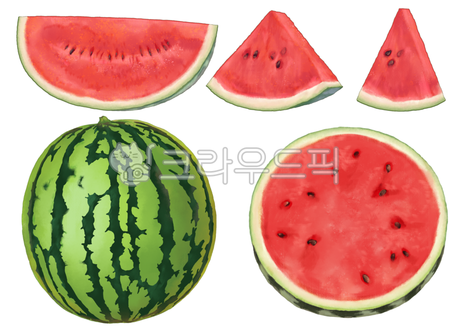 split watermelon,hand drawing,watermelon slice,fruit,cut watermelon,watermelon,watermelon drawing,watermelon illustration,summer