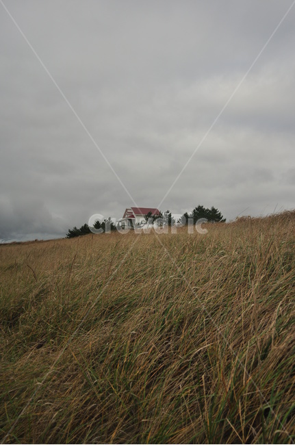 nature,자연,outdoors,옥외,집,house,초원,들판,벌판,landscape,풍경,감성,감성사진,분위기,mood,구름,cloud,고해상도,신두리,쓸쓸한,고요한,조용한,바람,wind,나무,tree,언덕,hill