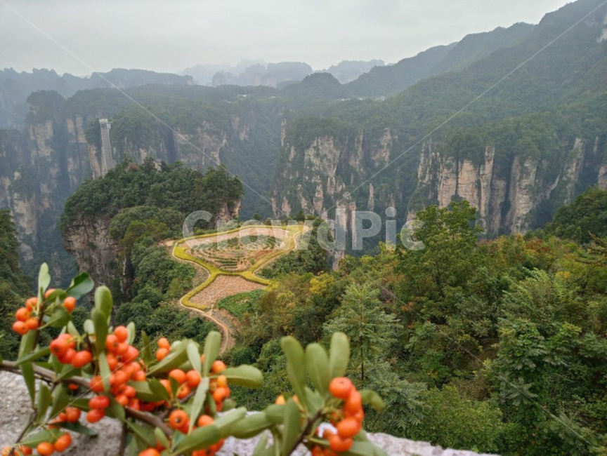 장가계,아바타,풍경,자연,경치,자연,풍경,nature,landscape