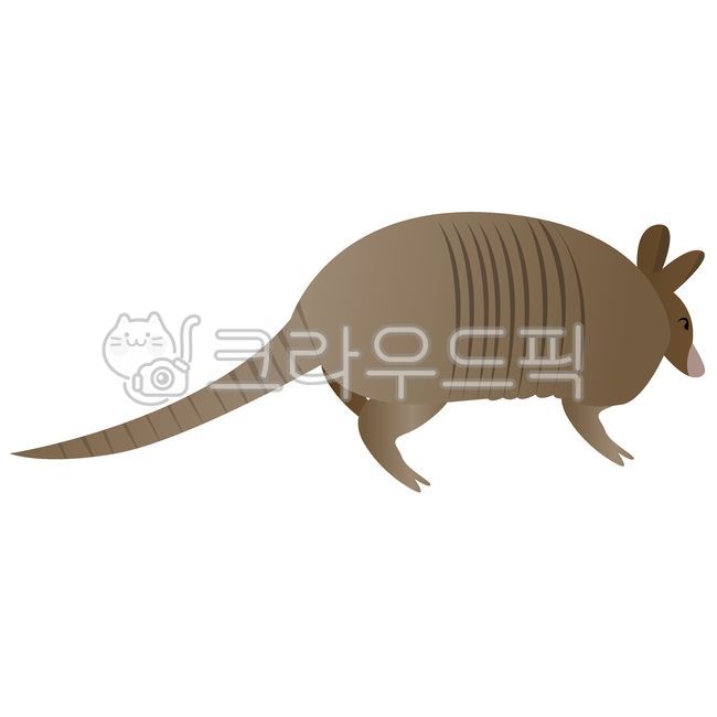 천상갑,동물,야생동물,animal,디자인소스,디자인요소,객체,오브젝트,object,벡터파일,벡터,vertor,illust,일러스트,그래픽,graphic