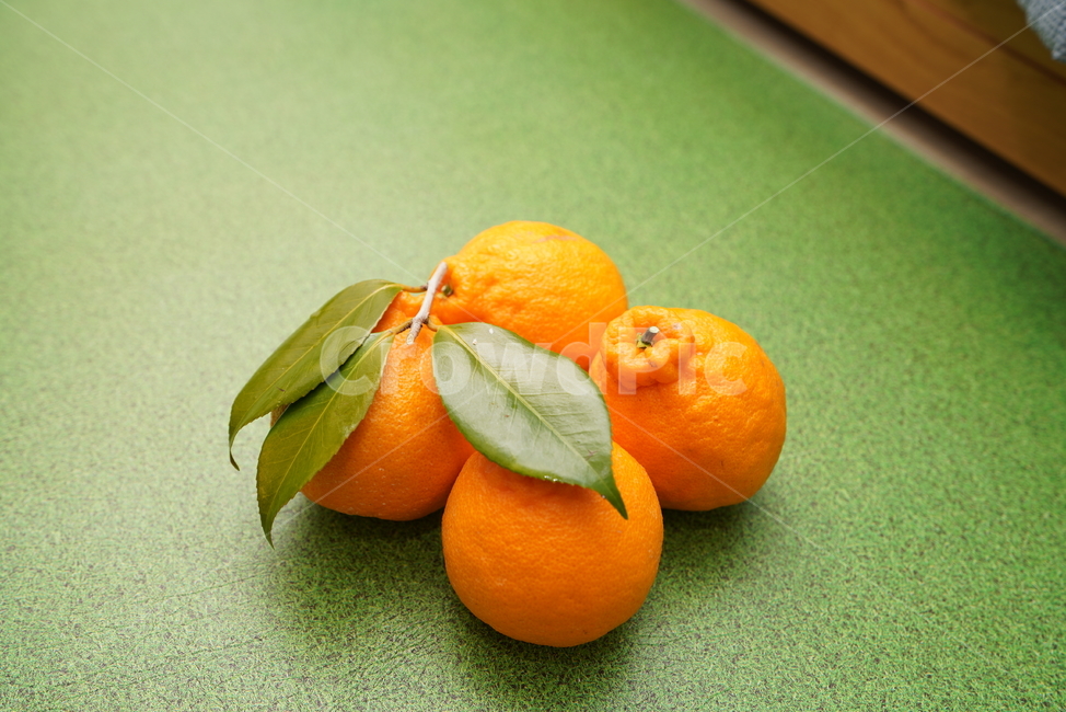 과일,한라봉,fruit,주황색,후식,food,컬러,orange,음식,감귤류과일,plant,음식,식재료,요리,food,cook,meal,dishes,food reserves,과일,열매,fruit