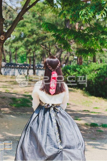 Womens Hanbok,Daeng Gi Meori,Han bok,clothing,hanbok,Hanbok back view,cloth