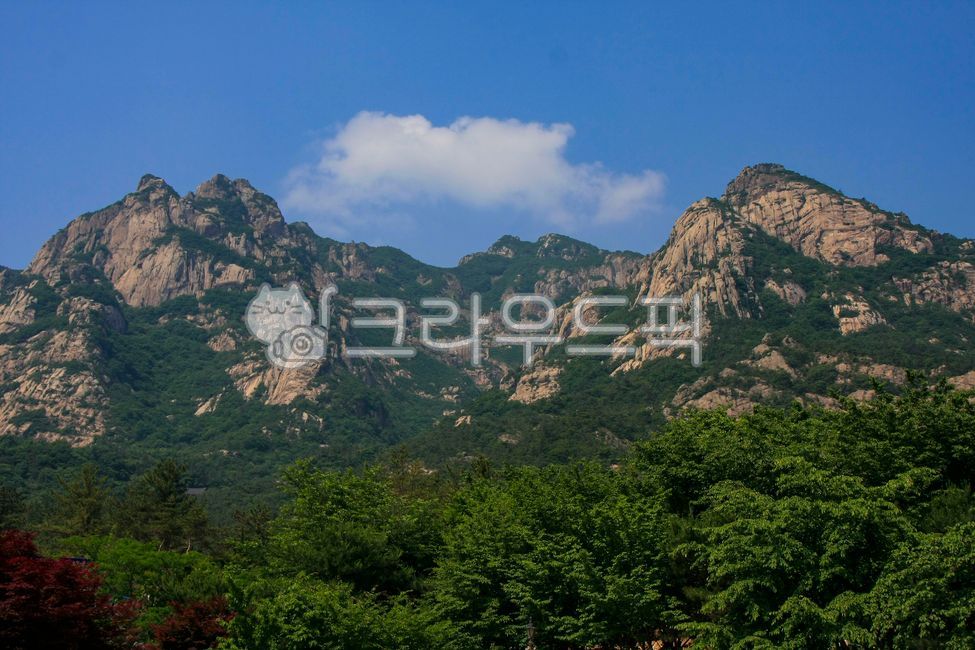 sky,A national park,famous mountain,nature,summer mountain,tree,fresh green,rock wall,rock,cloud,Wolchulsan Mountain,mountain,Made in Korea,summer scenery