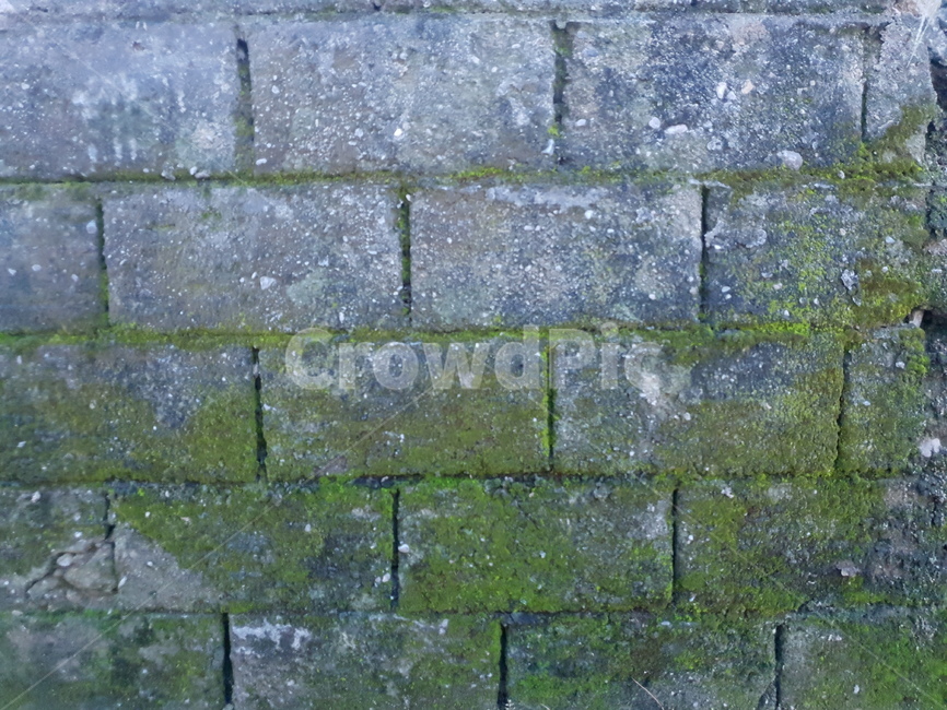 돌담,wall,이끼,벽,walkway