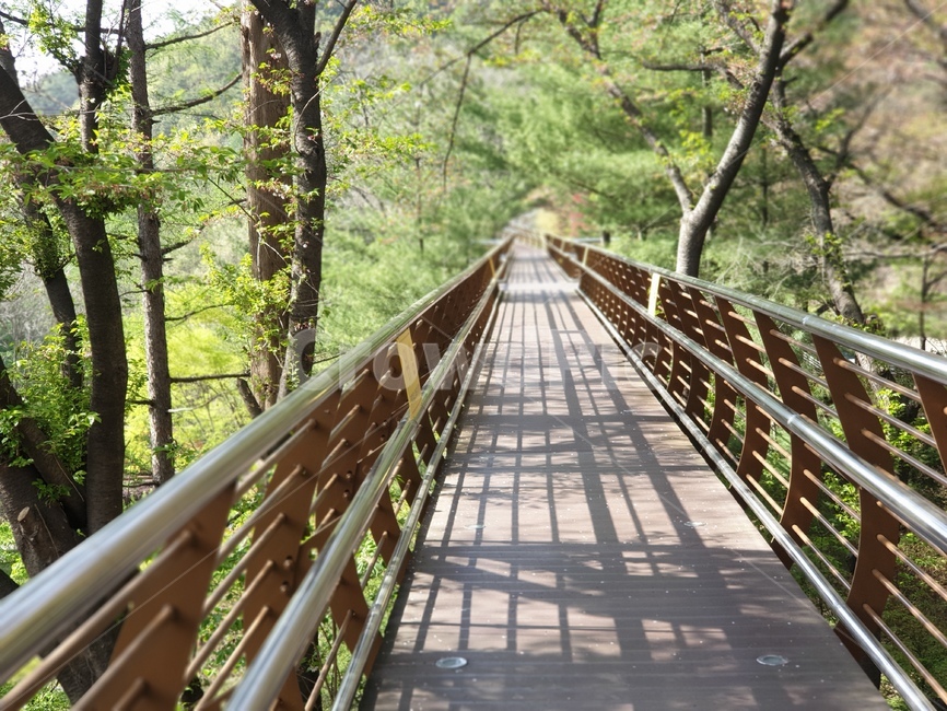 길,산책로,산책,햇살,빛
