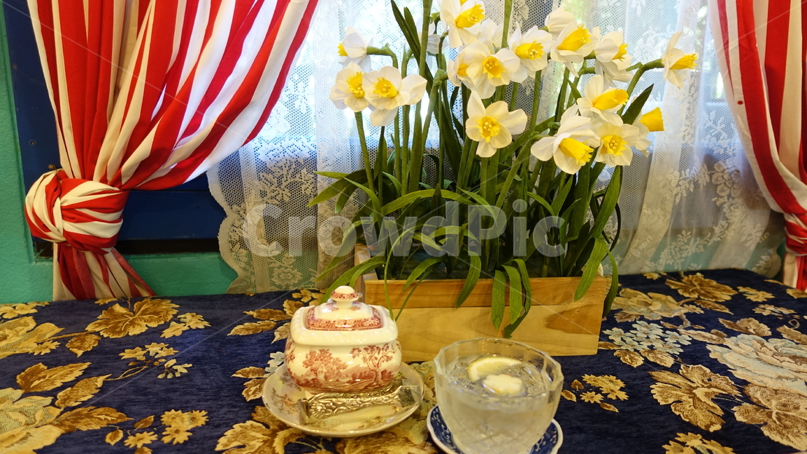 카페,cafe,tea,차,티,수선화