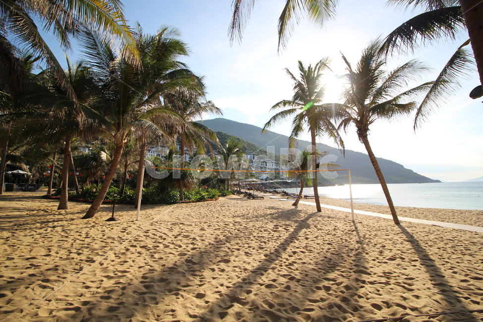 여름,야자수,해변,바닷가,비치볼,자연,풍경,nature,landscape,해변,바다,beach,sea,해외,외국,세계,foreign,oversea,world,세계자연풍경,해외자연풍경,외국자연풍경,world nature landscape,summer