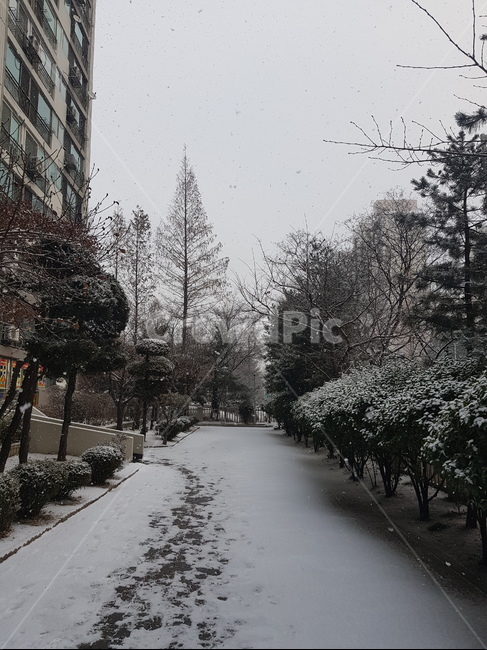 폭설,눈,눈길,함박눈,빙판길,겨울,계절,winter,season