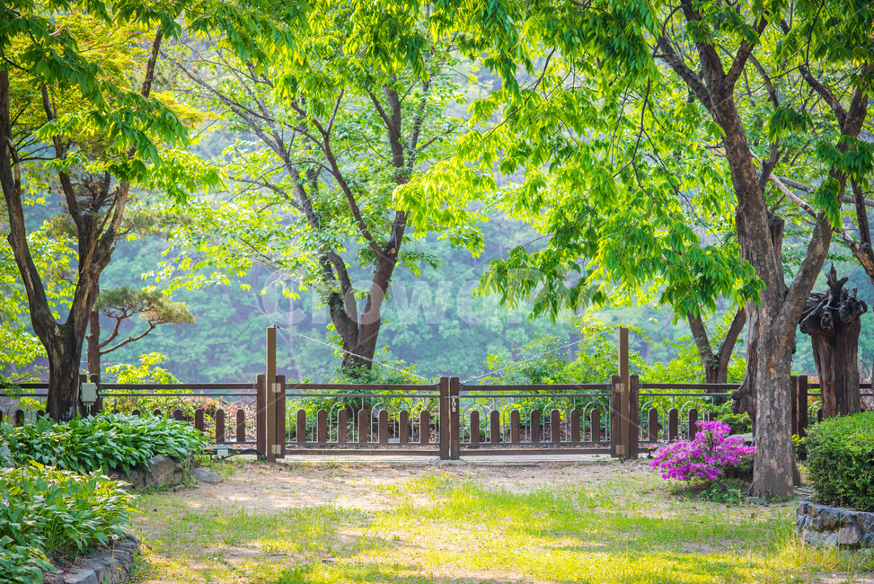 봄,푸르름,문,숲의문,힐링,수목원,봄,계절,spring,season,plant,식물,grass,잔디