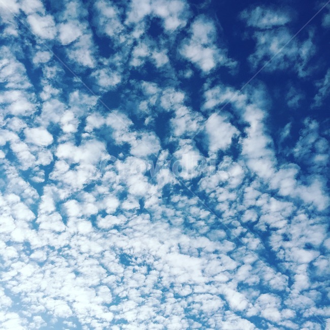 nature,자연,outdoors,azuresky,푸른하늘,sky,하늘,cloud,구름