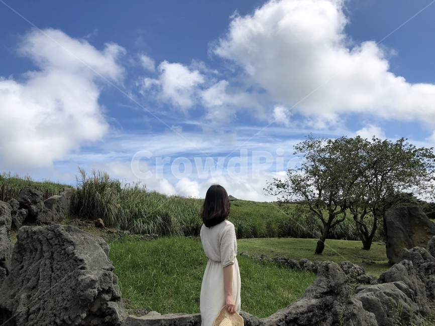 여행,나들이,하늘,풍경,자연,경치,제주도,제주,들판,들녘,초원,travel,picnic,sky,nature,jeju,field,plain,grass,사람,인물,trip,감성,감성사진,컨셉,느낌,평화로움,한적함,사람,인물,인간,human,person,여성,여자,woman,female,lady,여행,휴가,traveling,vacation,trip