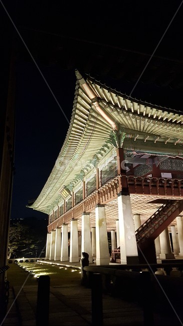 경회루,경복궁,광화문,야경,야간개장
