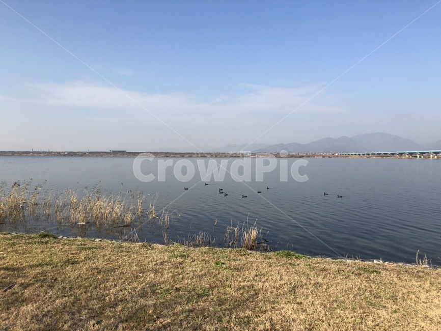 강,river,하늘,겨울,새