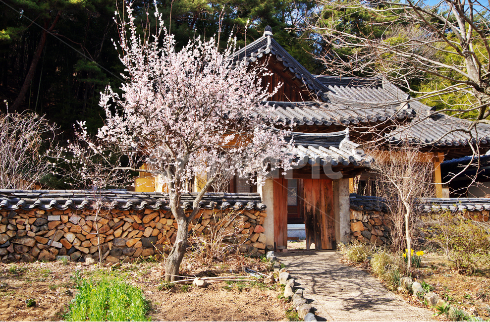 봄,양산,관음암,사찰,불교,요사채,돌담,자연,한국전통,한국문화,korean traditional,korean culture,건축물,건물외관,exterior,building,structure,architecture,construction