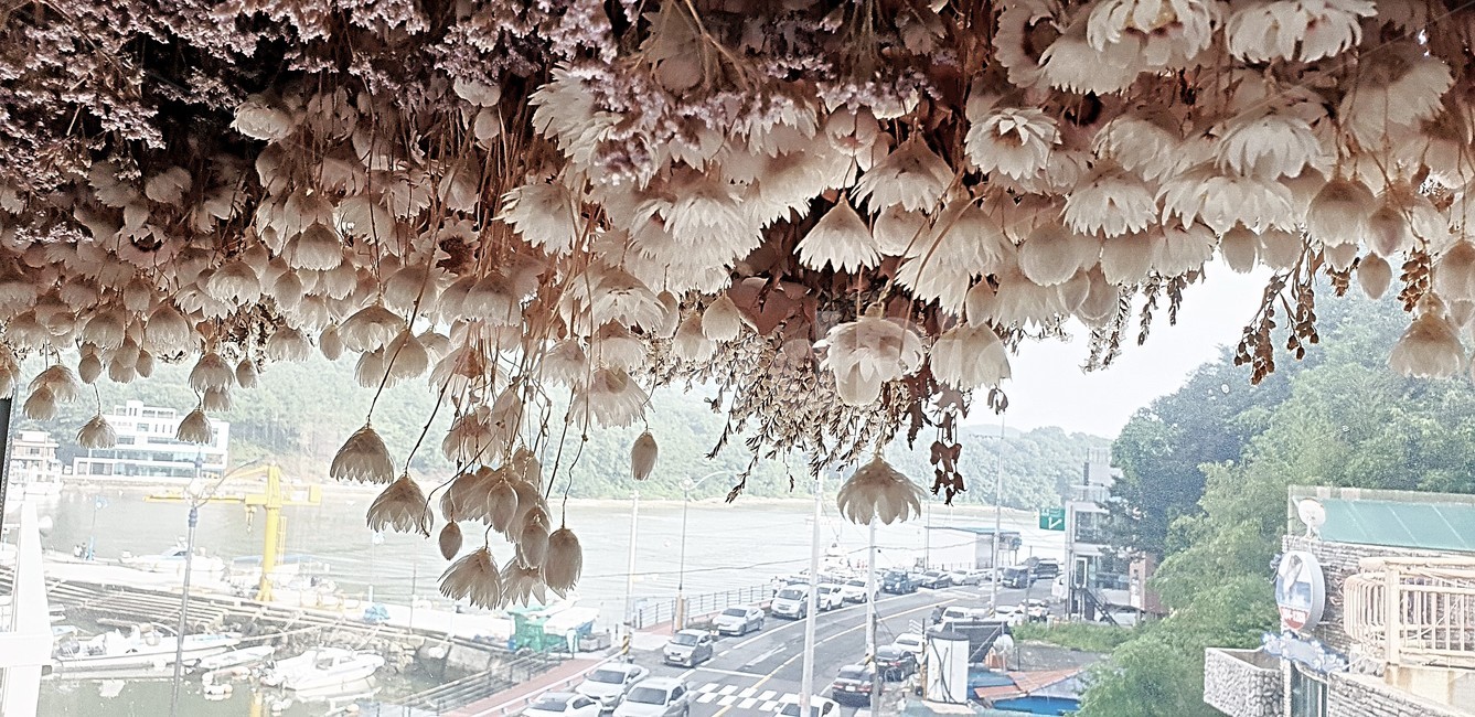 꽃,말린꽃,flower,커피숍,플라워