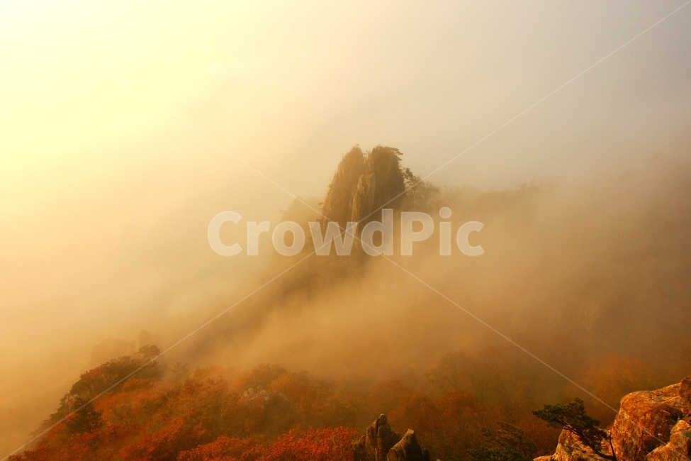 대둔산,장군봉,운해,일출,산,가을,단풍,가을,계절,fall,autumn,season,자연,풍경,nature,landscape,weather,날씨,outdoors,옥외