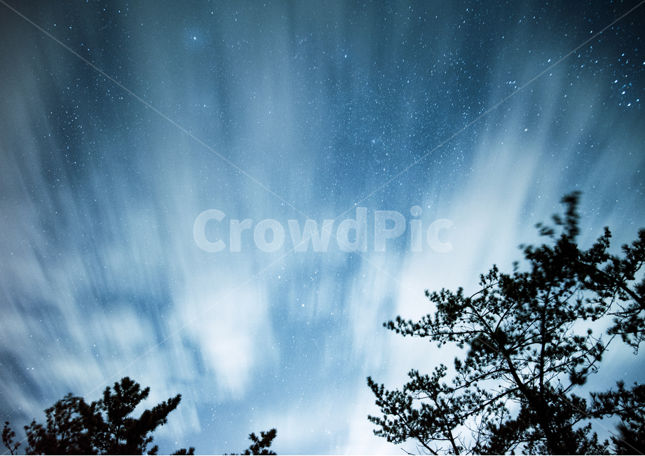 밤하늘,밤풍경,구름,바람,풍경,풍경사진,자연,풍경,nature,landscape,야경,밤,nightscape,night,tree,나무,plant,식물,outdoors,옥외