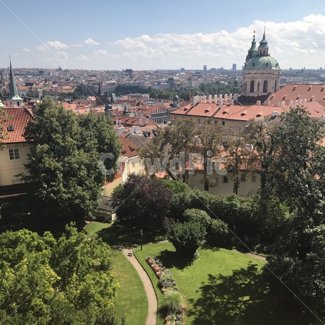 프라하,praha,체코,czechrepublic,유럽,europe,관광,관광명소,touristattraction,landscape,경치,nature,자연,outdoors,옥외,steeple,뾰족한탑,building,건물,architecture,건축물,tower,탑,spire,첨탑,빨간지붕,red,roof,scenery,풍경