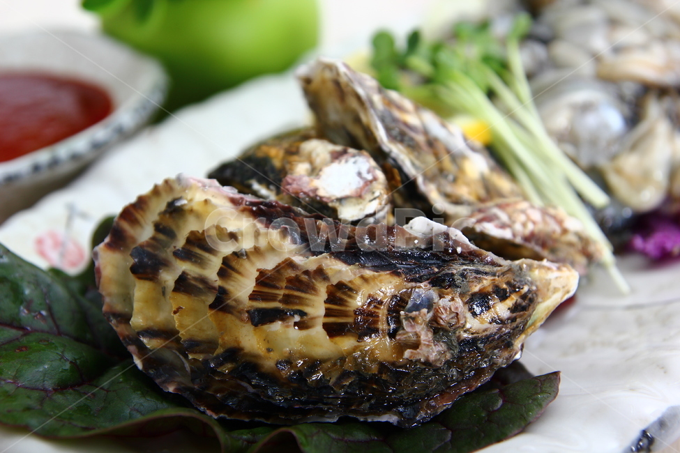 석화,굴,생굴,해산물,조개,신선,싱싱,음식,식품,dish,oysters,seafood,shellfish,fresh,crispy,food,음식,식재료,요리,food,cook,meal,dishes,food reserves,수산물,해산물,fishery products,seafood