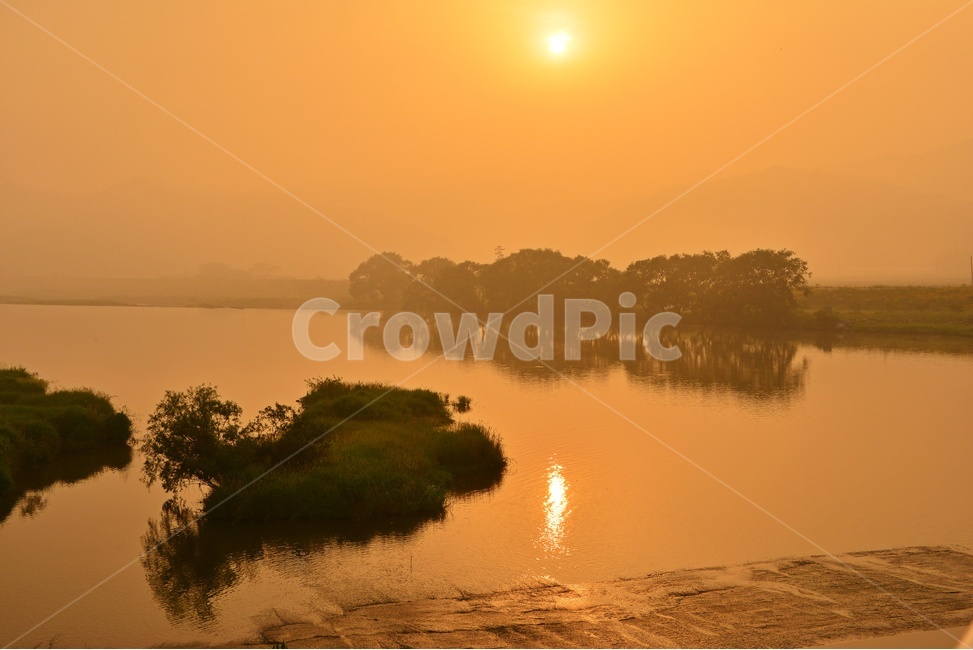 나주,남평,드들강,sunlight,햇빛,weather,날씨,tree,나무,plant,식물,nature,자연,outdoors,옥외,water,물,금계국,반영,드들강일출,일출,여명,해돋이